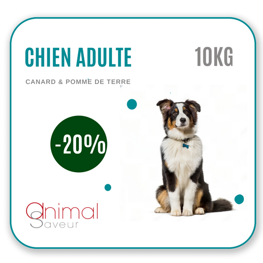 Déstockage – Croquettes Animal Saveur Chien Adulte 10kg