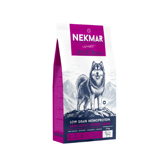 Chien Adulte Mini - 2kg