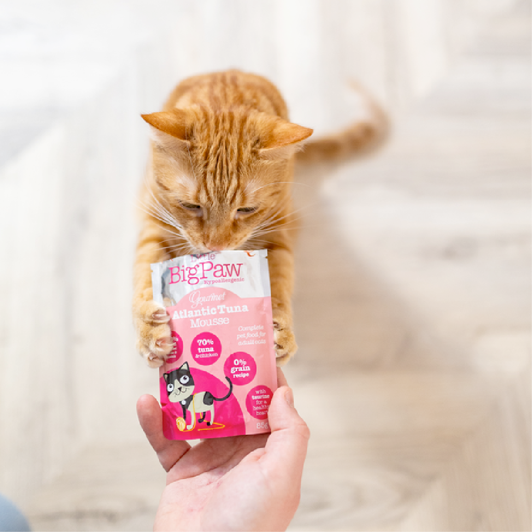 Pâté pour chat au Thon •  12 x 85gr
