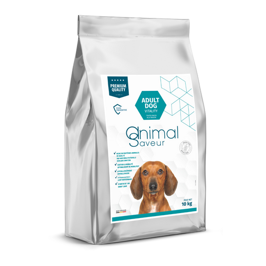 Croquettes Chien Adulte 10kg -20%