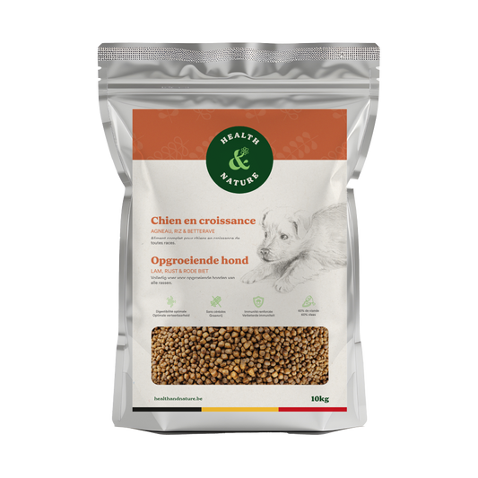 Déstockage Croquettes Chien en Croissance 10kg