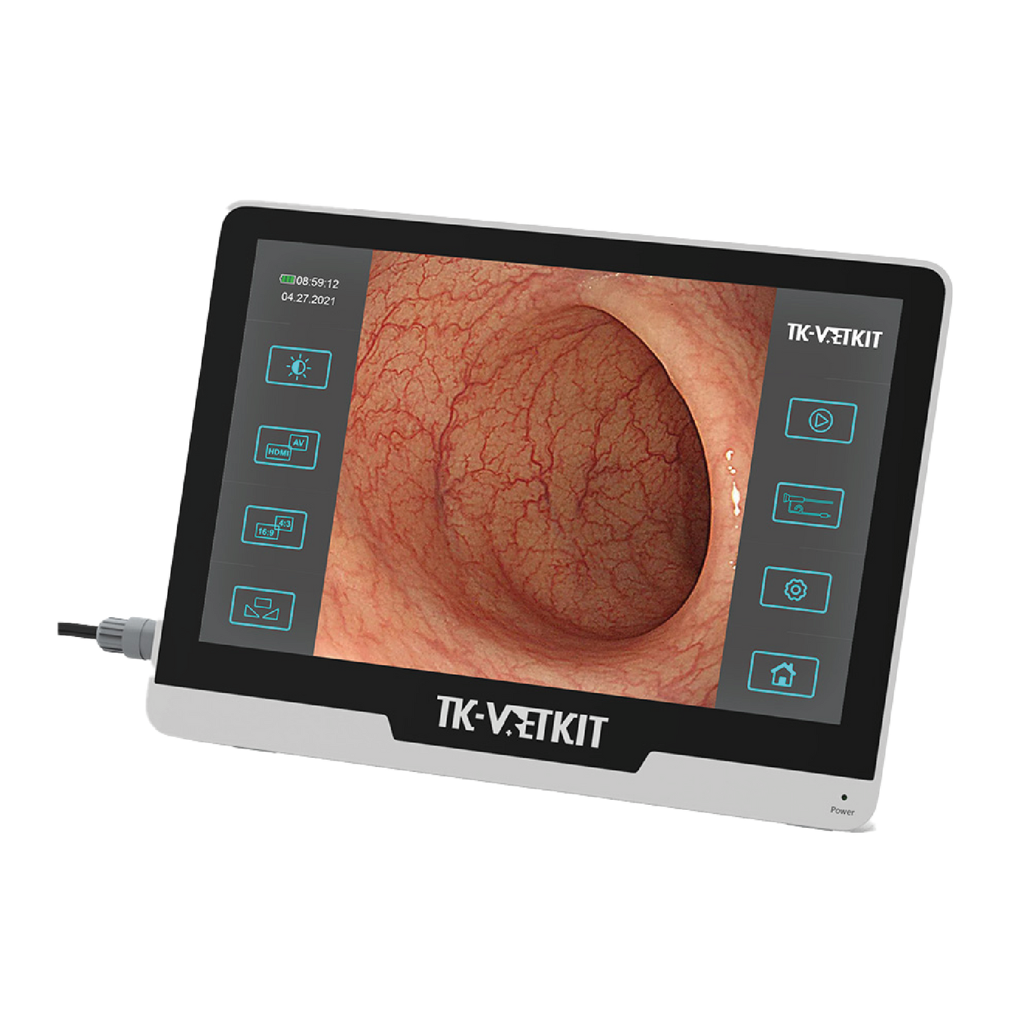 Endoscope Single Use