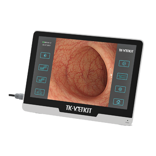 Moniteur pour Endoscope Single Use
