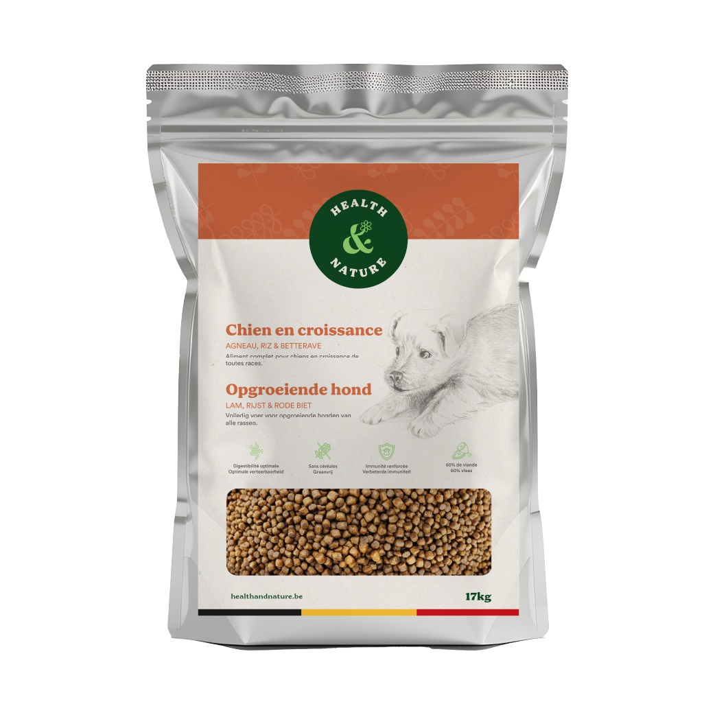 Croquettes Chien en Croissance 17kg