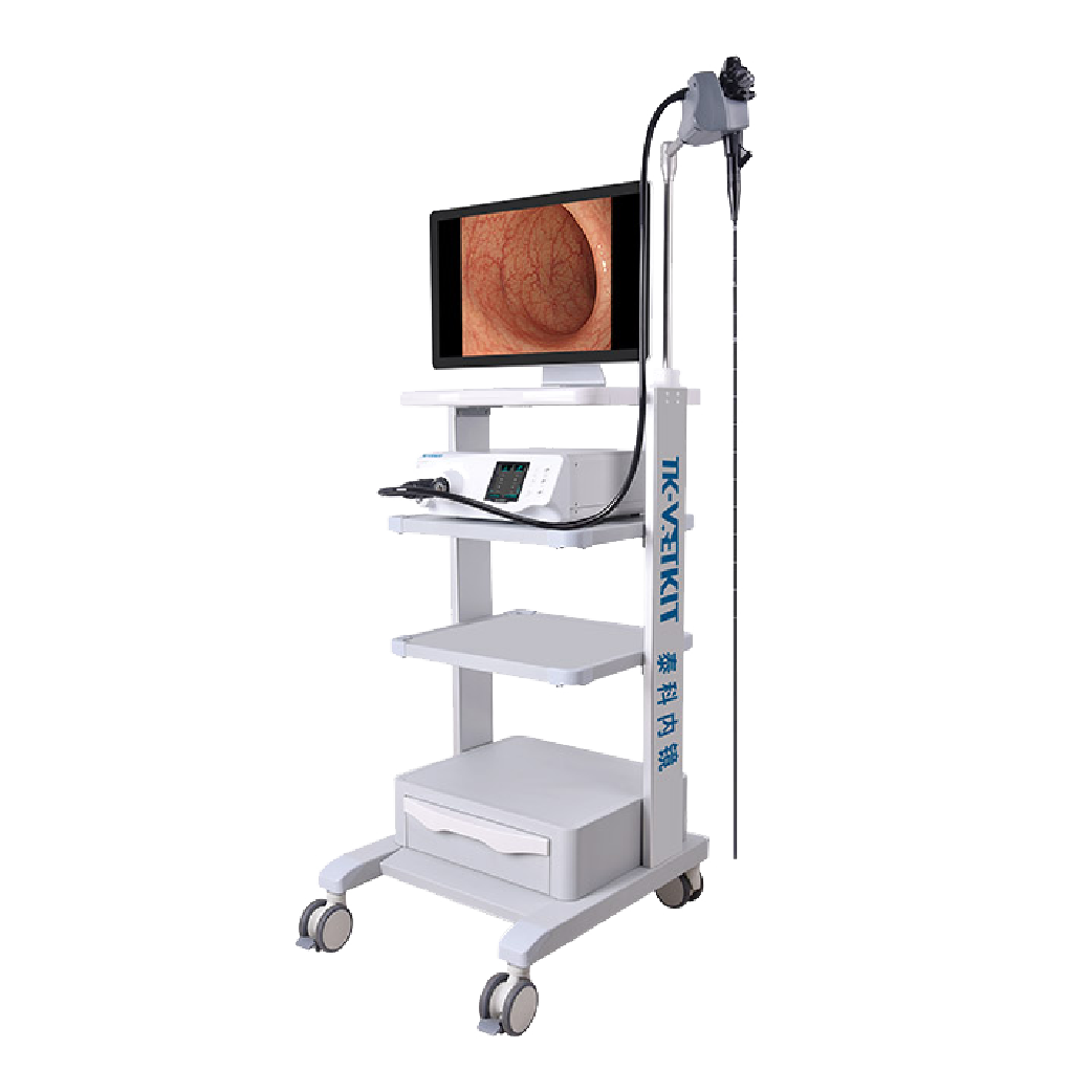 Endoscope TK Vetkit tout-en-un