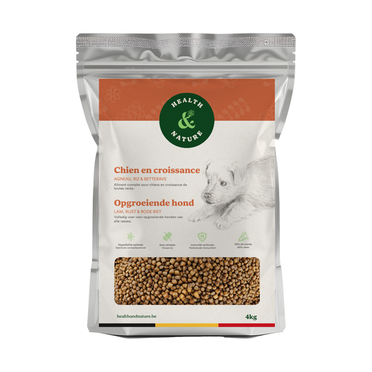 Croquettes Chien en Croissance 4kg