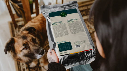 Comment décrypter l'étiquetage des aliments pour chiens ?