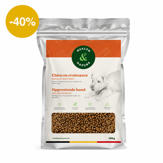 Croquettes chien en croissance à l'agneau – 10kg