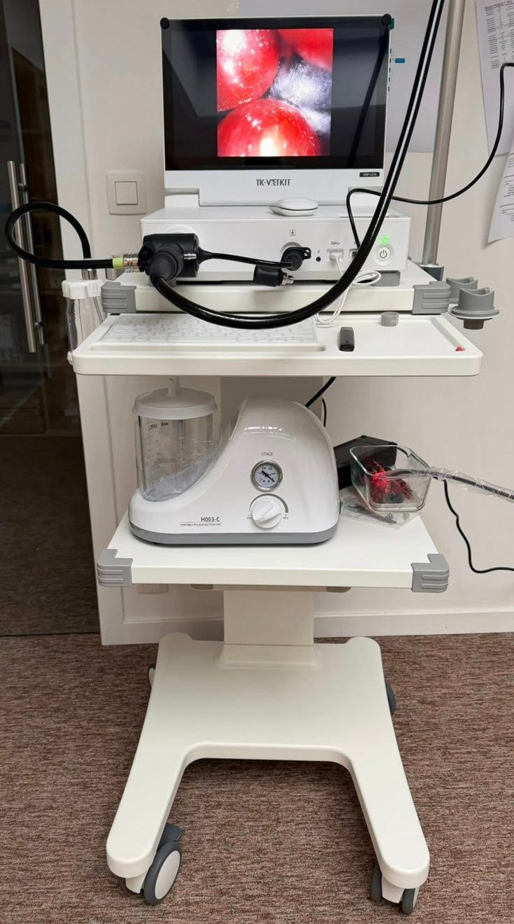 Endoscopietoren (nieuw)