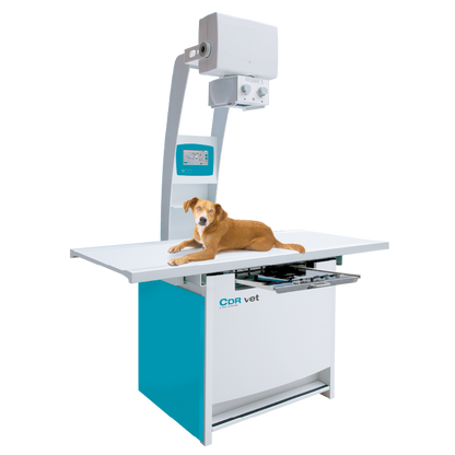 Radiographe CDR Vet