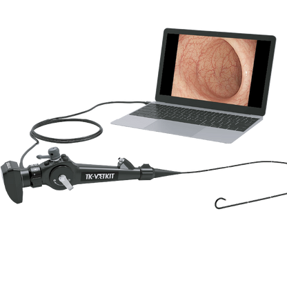 Bronchoscope | Utéroscope USB