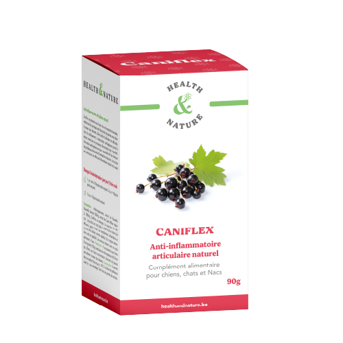 CaniFlex 90g
