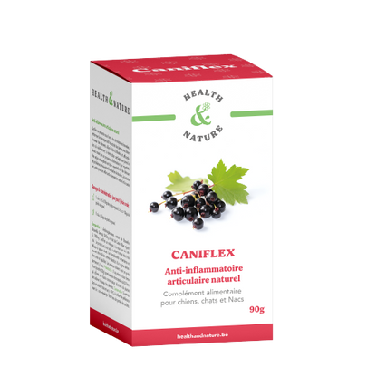 CaniFlex 90g