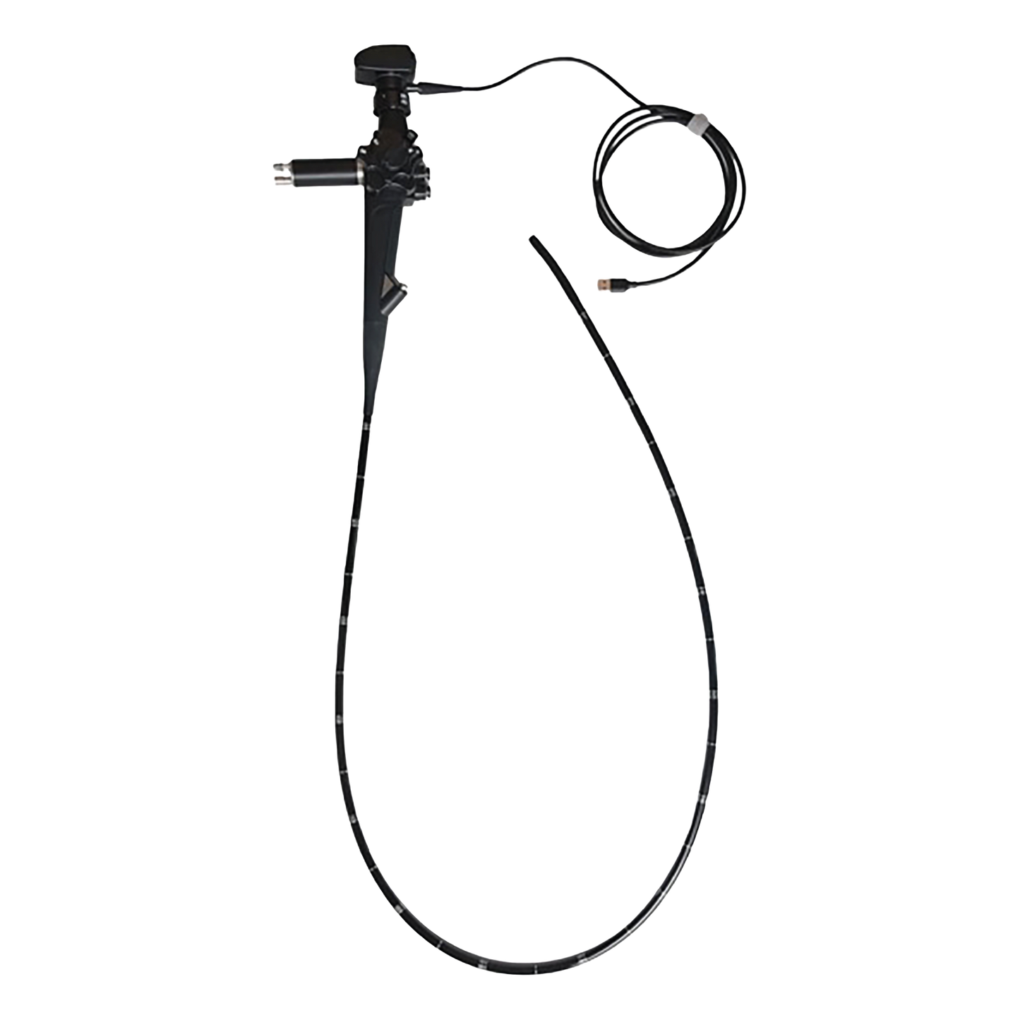 Endoscope portable VEC