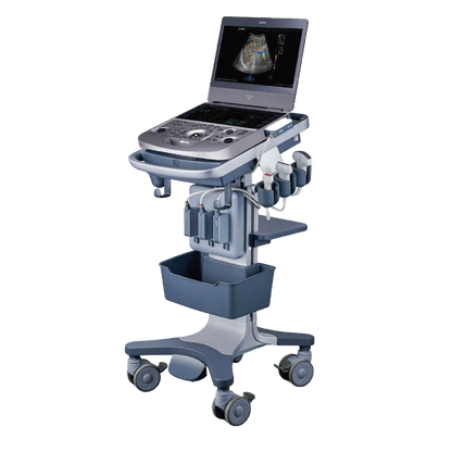 Échographe Acclarix AX9