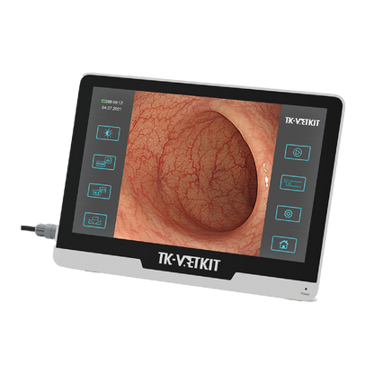Endoscope Single Use