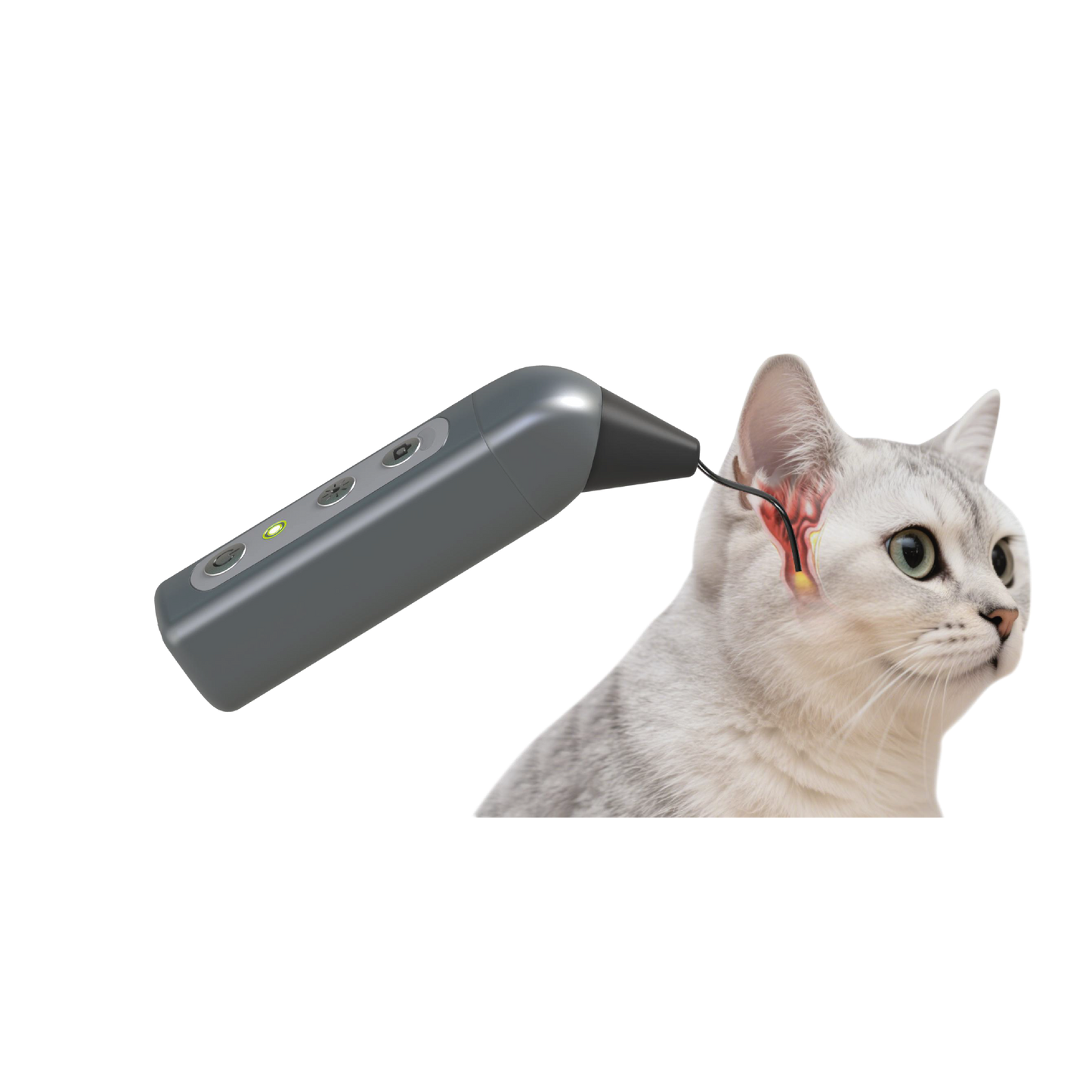 Otoscope vétérinaire