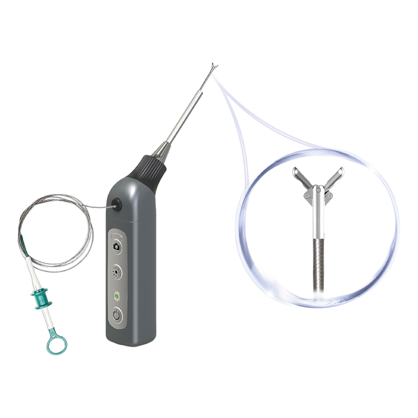 Otoscope vétérinaire