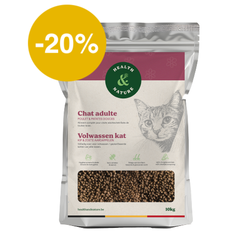 Croquettes chat adulte au poulet – 10kg