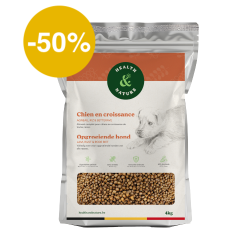Croquettes chien en croissance à l'agneau – 4kg